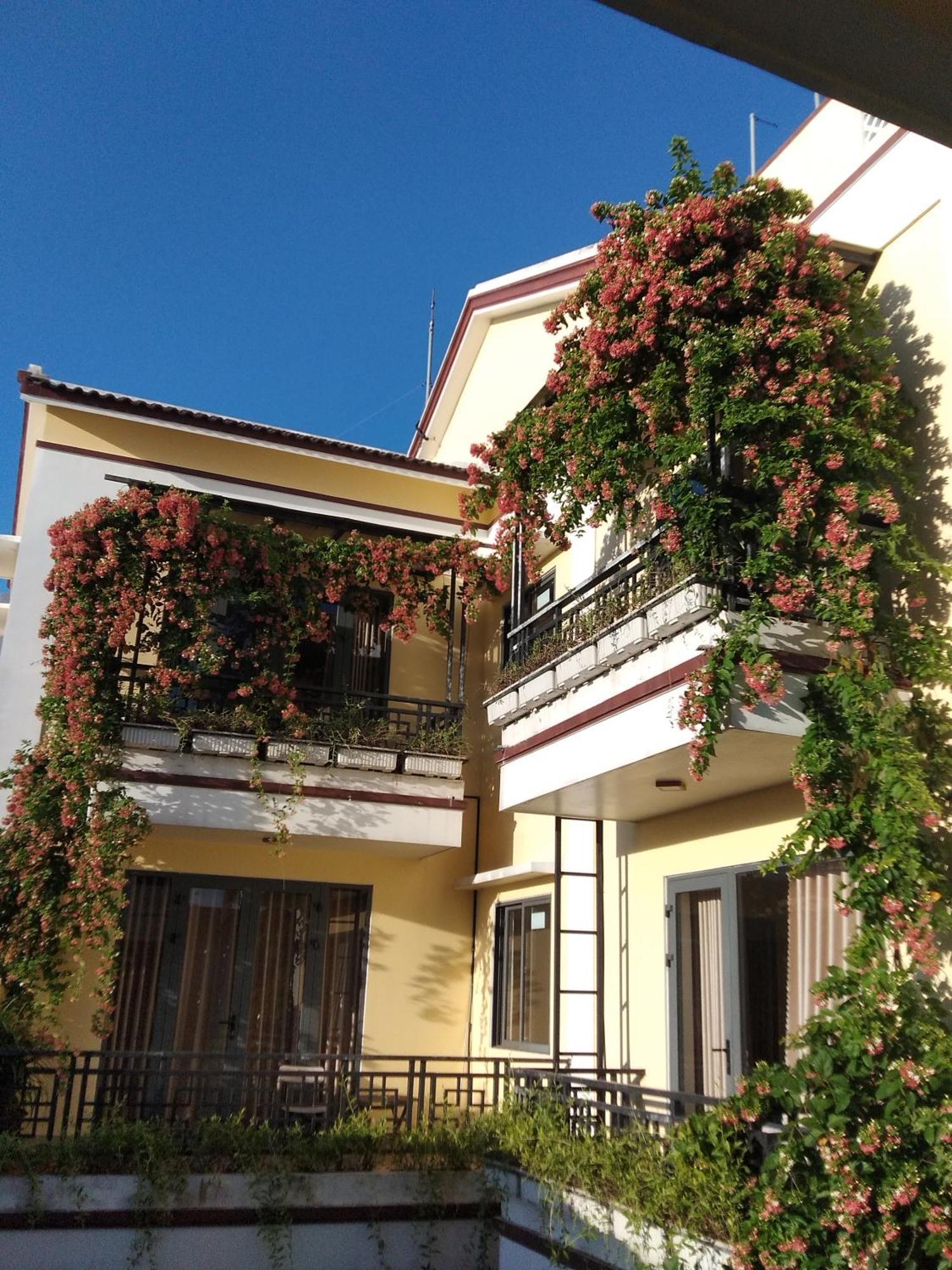 Hoi An Town Of Viet House Homestay エクステリア 写真